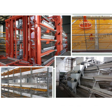 Galvanized Automatic H Frame Layer Cage Certificated with ISO9001